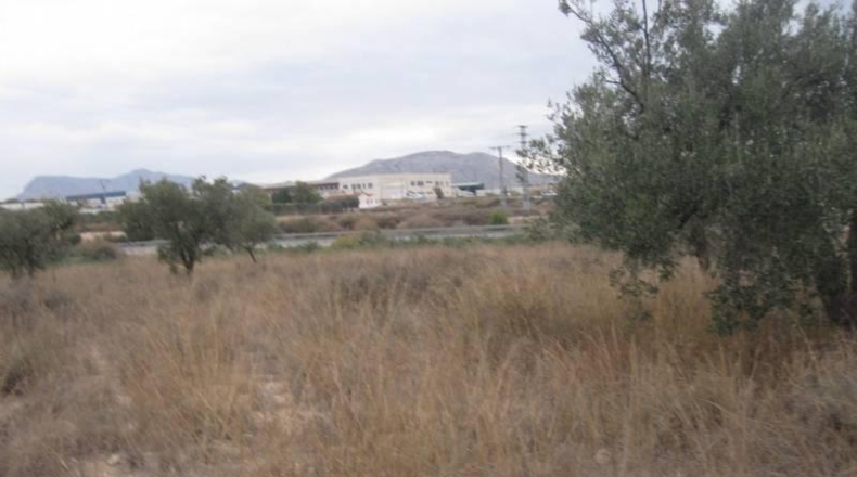 Alicante - Monóvar - 32000m2