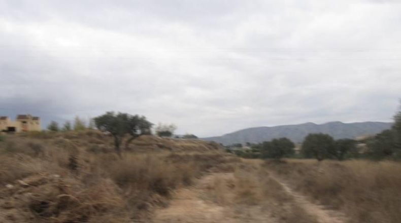 Alicante - Monóvar - 32000m2