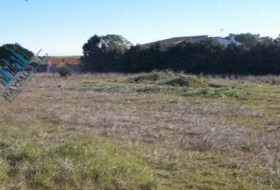 Casarrubios del Monte 12830&nbsp;m² 