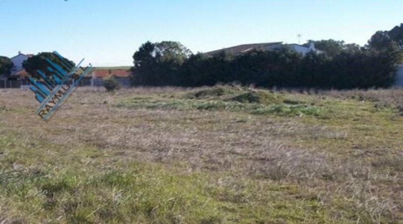 Toledo - Casarrubios del Monte - 12830m2