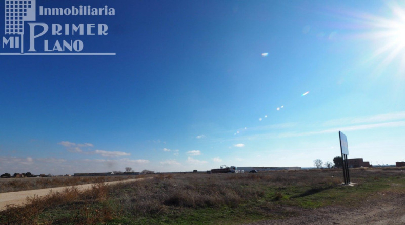 Ciudad Real - Tomelloso - 2407m2