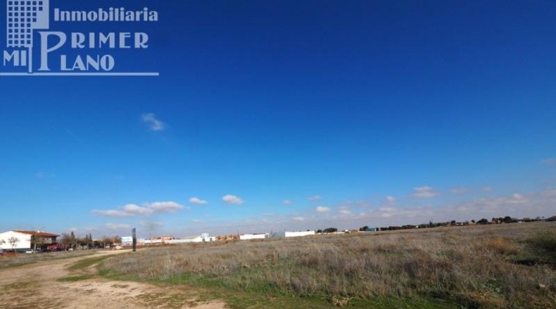Ciudad Real - Tomelloso - 2407m2