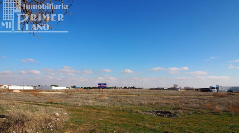 Ciudad Real - Tomelloso - 2407m2