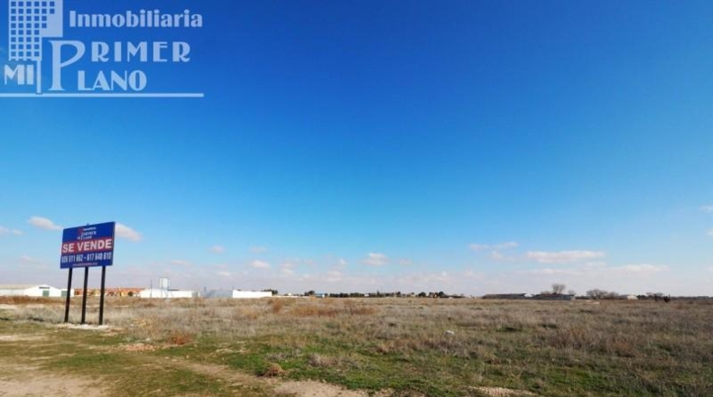 Ciudad Real - Tomelloso - 2407m2