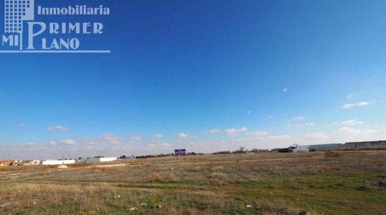Ciudad Real - Tomelloso - 2407m2