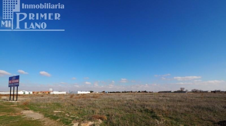 Ciudad Real - Tomelloso - 2407m2