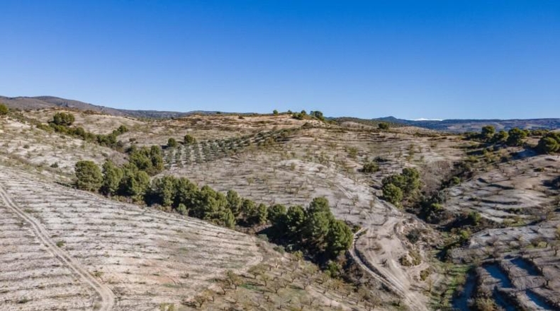 Granada - Jayena - 181204m2