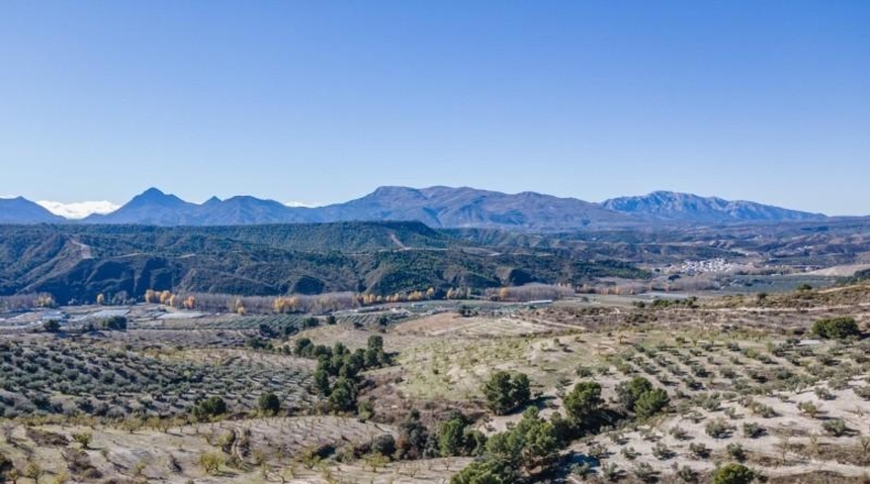 Granada - Jayena - 181204m2