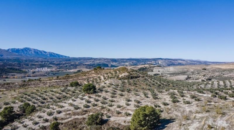 Granada - Jayena - 181204m2