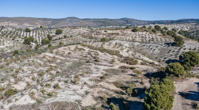 Granada - Jayena - 181204m2