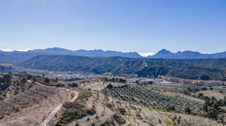 Granada - Jayena - 181204m2