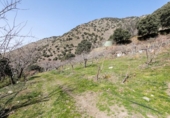 Земля на продажу у города Güéjar Sierra Фото