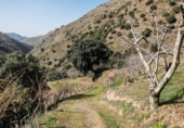 Земля на продажу у города Güéjar Sierra Фото