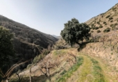Земля на продажу у города Güéjar Sierra Фото