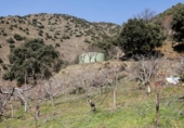 Земля на продажу у города Güéjar Sierra Фото