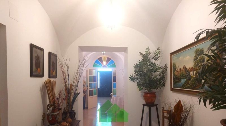 Badajoz - Puebla de la Calzada - 707m2