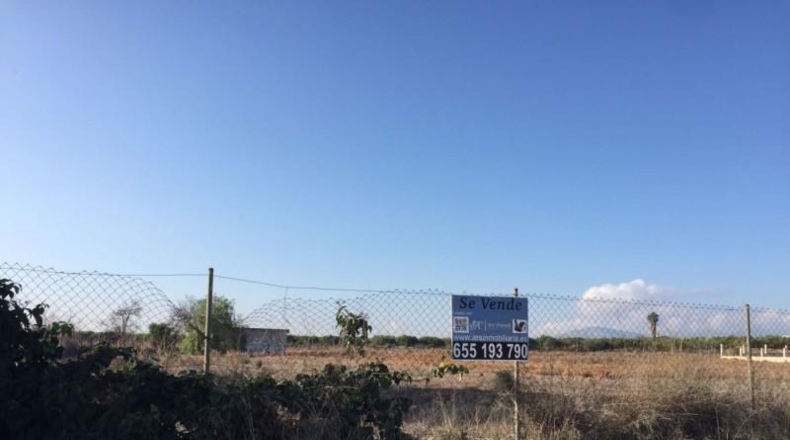 Murcia - Librilla - 30000m2