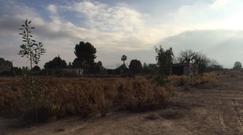 Murcia - Librilla - 30000m2