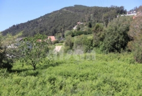 A Guarda 23104&nbsp;m²
