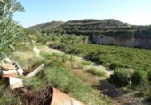 Xalet independent amb terreny en venda a la España, Arcos de la Frontera, ref.: TR363765 foto