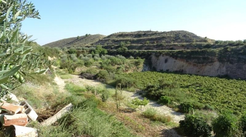Cádiz - Arcos de la Frontera - 22775m2