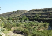 Xalet independent amb terreny en venda a la España, Arcos de la Frontera, ref.: TR363765 foto