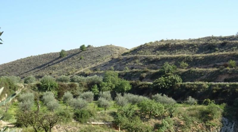 Cádiz - Arcos de la Frontera - 22775m2
