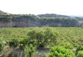 Xalet independent amb terreny en venda a la España, Arcos de la Frontera, ref.: TR363765 foto