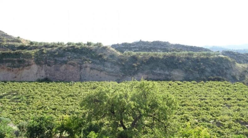 Cádiz - Arcos de la Frontera - 22775m2