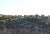 Xalet independent amb terreny en venda a la España, Arcos de la Frontera, ref.: TR363765 foto