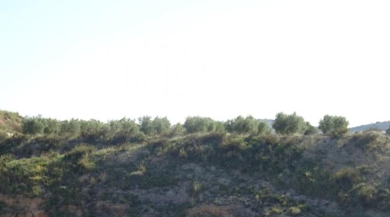 Cádiz - Arcos de la Frontera - 22775m2