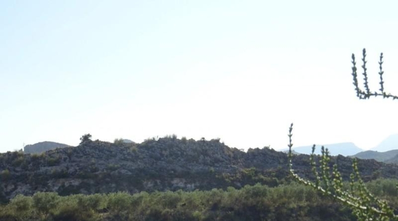 Cádiz - Arcos de la Frontera - 22775m2