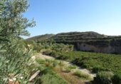 Xalet independent amb terreny en venda a la España, Arcos de la Frontera, ref.: TR363765 foto
