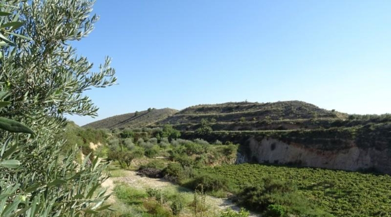 Cádiz - Arcos de la Frontera - 22775m2