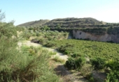 Xalet independent amb terreny en venda a la España, Arcos de la Frontera, ref.: TR363765 foto