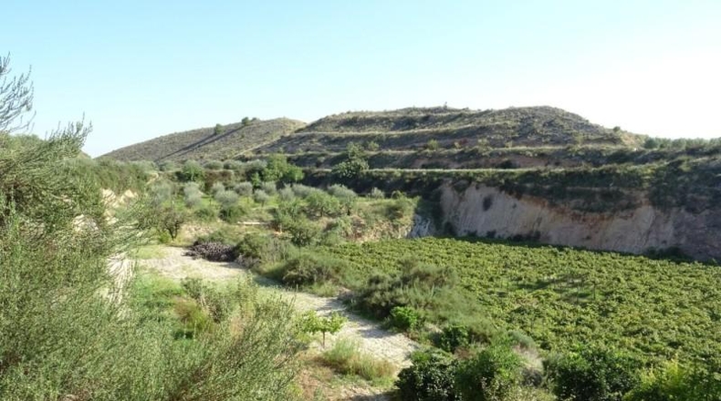 Cádiz - Arcos de la Frontera - 22775m2