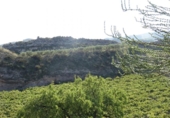 Xalet independent amb terreny en venda a la España, Arcos de la Frontera, ref.: TR363765 foto