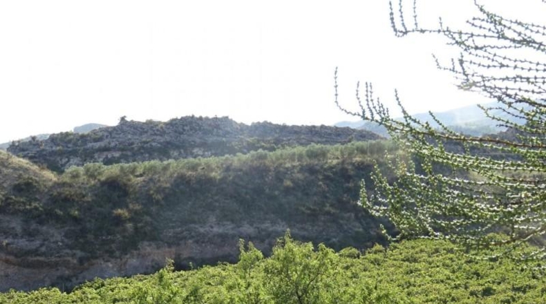Cádiz - Arcos de la Frontera - 22775m2