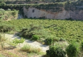 Xalet independent amb terreny en venda a la España, Arcos de la Frontera, ref.: TR363765 foto