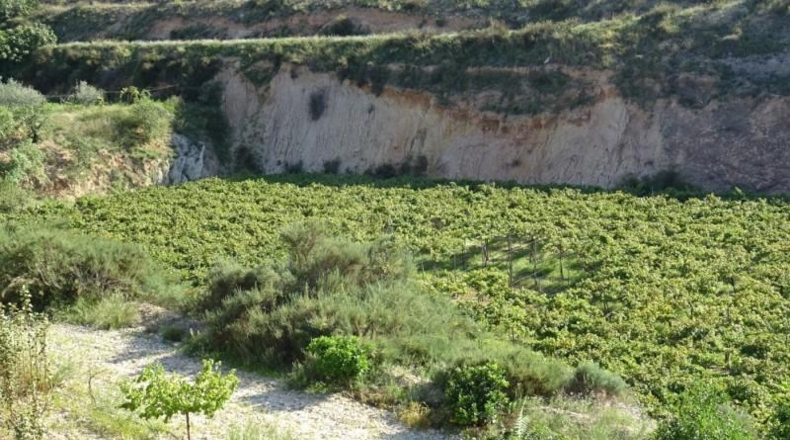 Cádiz - Arcos de la Frontera - 22775m2