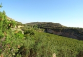 Xalet independent amb terreny en venda a la España, Arcos de la Frontera, ref.: TR363765 foto