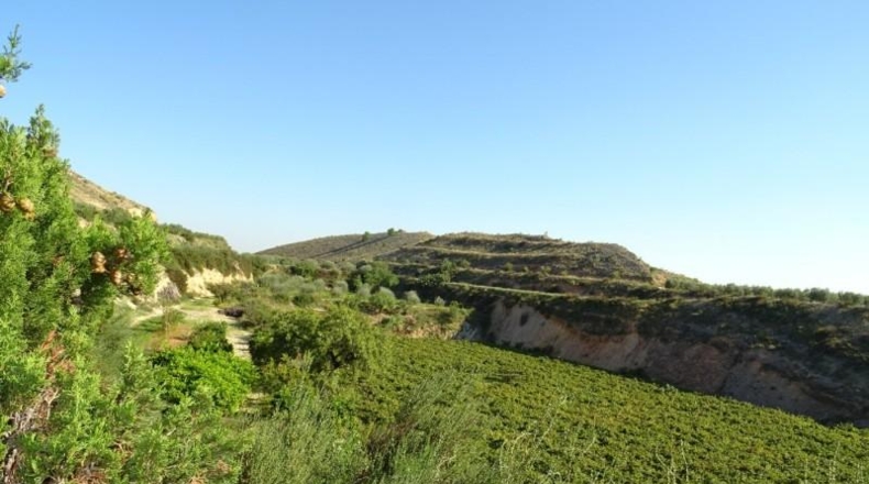 Cádiz - Arcos de la Frontera - 22775m2
