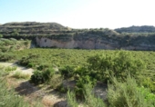 Xalet independent amb terreny en venda a la España, Arcos de la Frontera, ref.: TR363765 foto