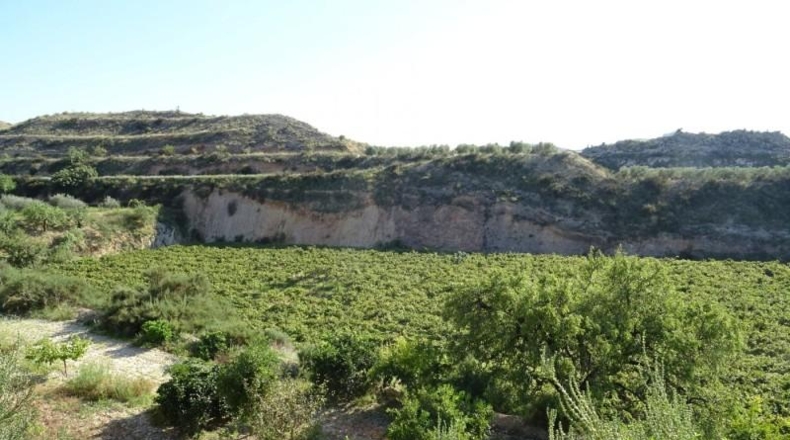 Cádiz - Arcos de la Frontera - 22775m2