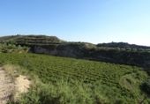 Xalet independent amb terreny en venda a la España, Arcos de la Frontera, ref.: TR363765 foto