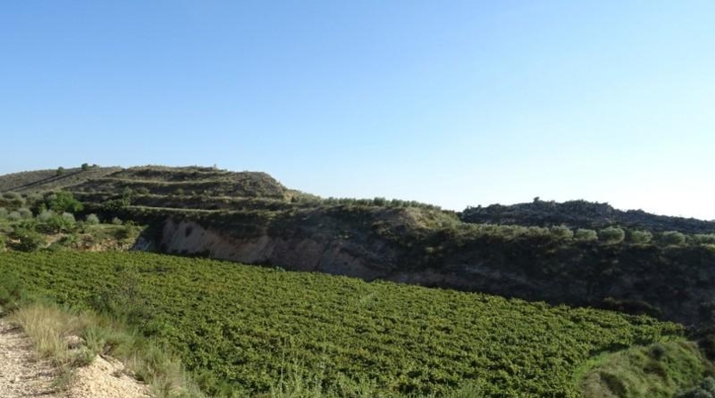Cádiz - Arcos de la Frontera - 22775m2