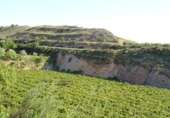 Xalet independent amb terreny en venda a la España, Arcos de la Frontera, ref.: TR363765 foto