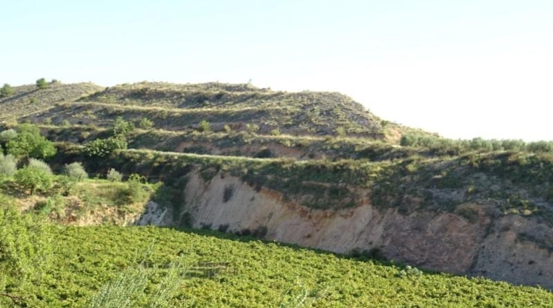 Cádiz - Arcos de la Frontera - 22775m2