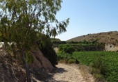Xalet independent amb terreny en venda a la España, Arcos de la Frontera, ref.: TR363765 foto