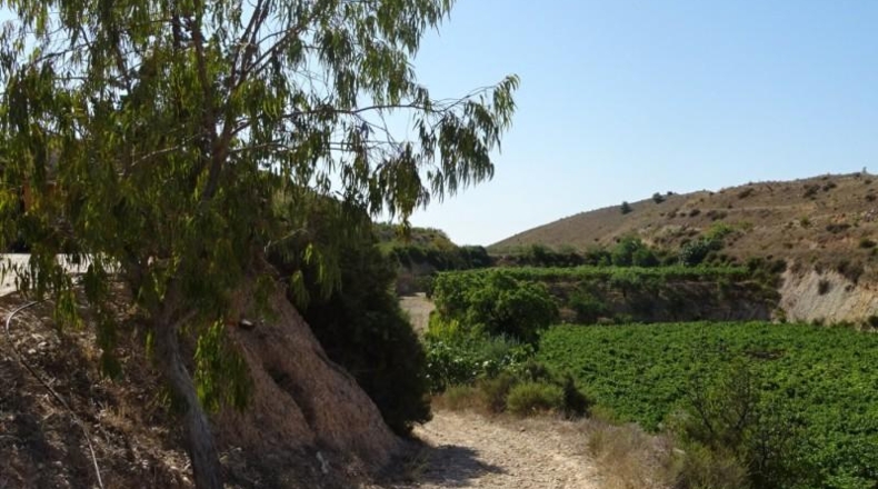 Cádiz - Arcos de la Frontera - 22775m2